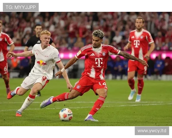 德甲冠军争夺战：全年领跑首队的崛起